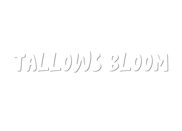 Tallows Bloom